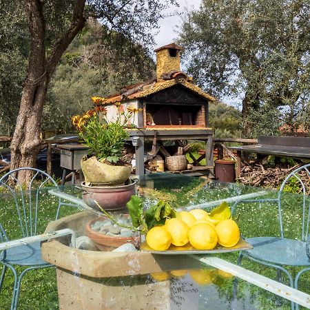 Villino Sally Sorrento Coast Пьяно-ди-Сорренто Экстерьер фото