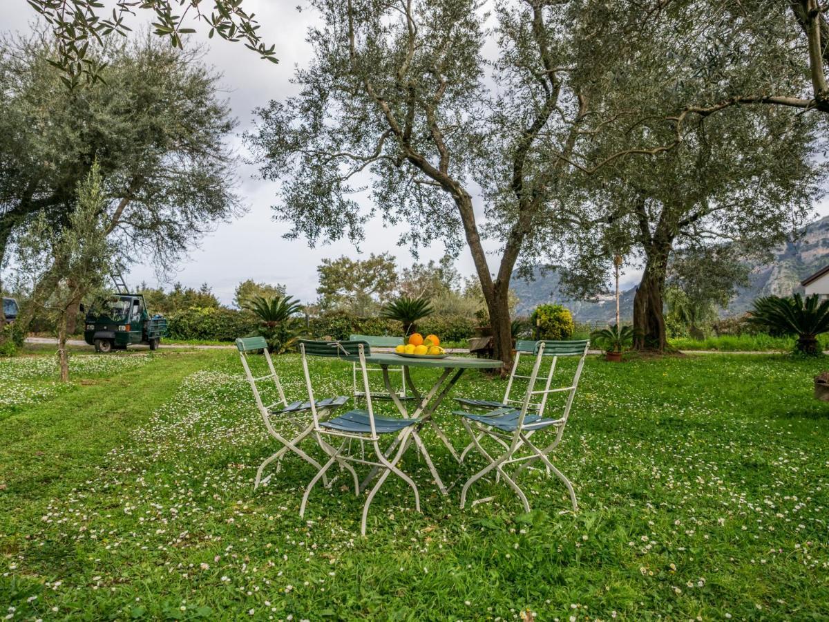 Villino Sally Sorrento Coast Пьяно-ди-Сорренто Экстерьер фото